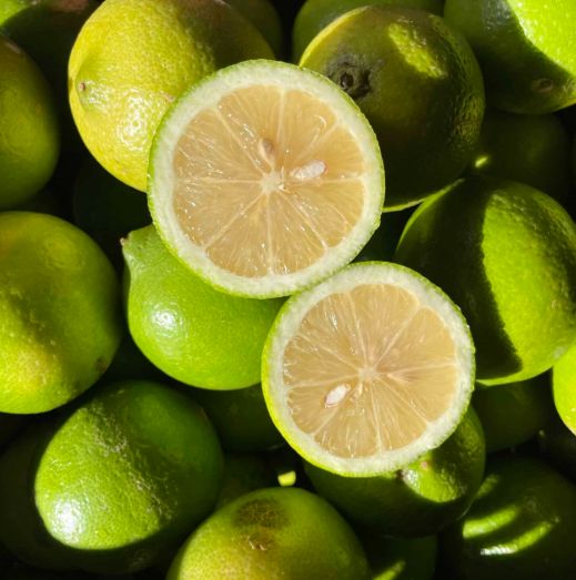 Citron Bio IGP Syracuse 5kg