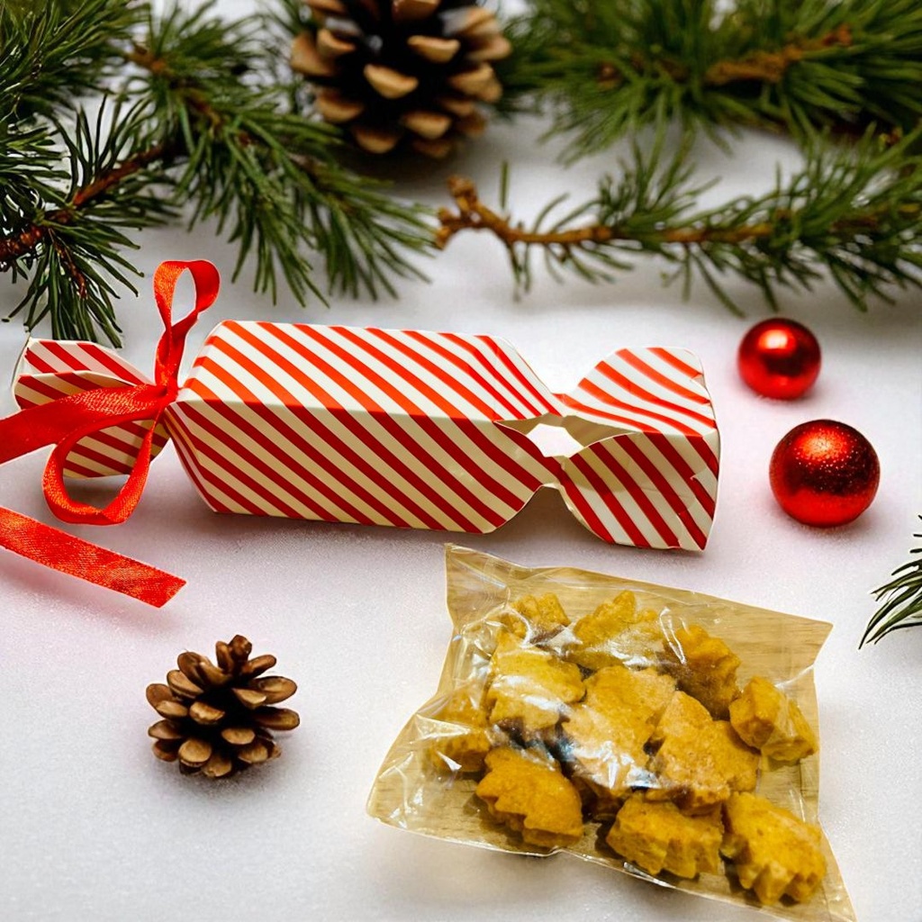 [251023_9289] Le Bonbonchou de Noël