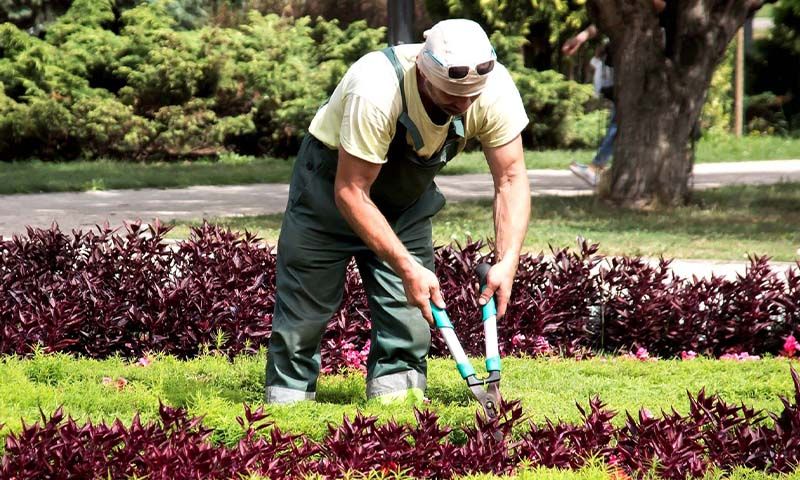 [211213_3820] Artisan paysagiste - Jardinier