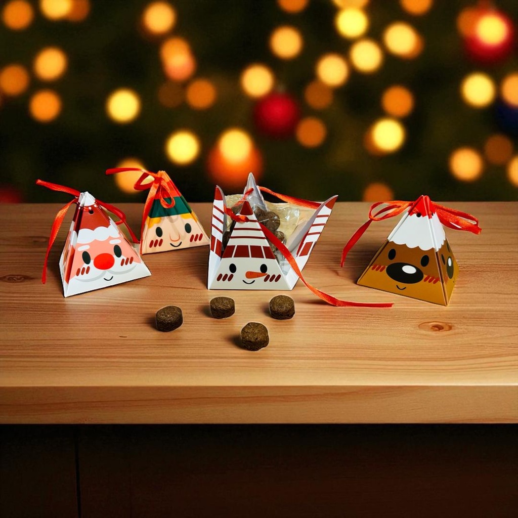 [251023_9294] Le cadeau de Chou